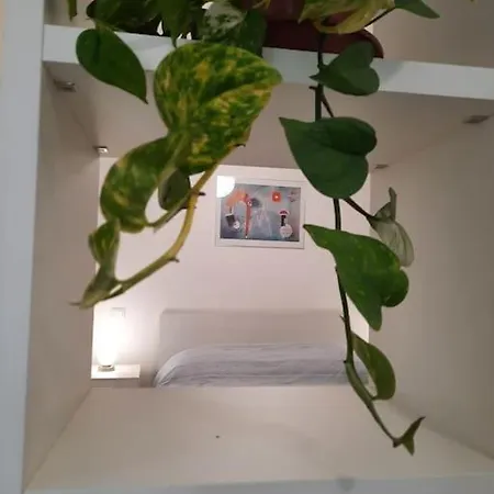 Appartement Johann Sebastian House *